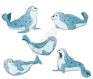 斑海豹图片卡通图片