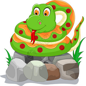 石头上可爱的蛇卡通插图图片