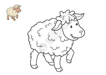 儿童图画书羊图片