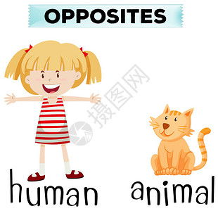 人类和动物插图的相反字卡图片