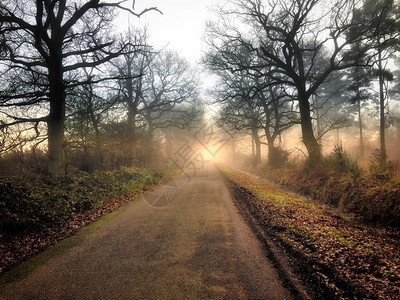 雾蒙的早晨的乡间小路图片