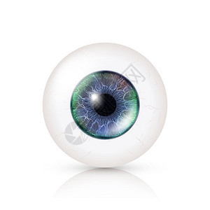 逼真的人类眼球3d光泽逼真的眼睛细节与阴影和反射在白色背景图片
