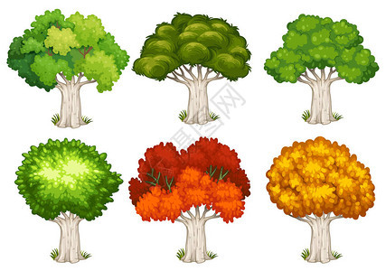 不同形状的树木插图图片