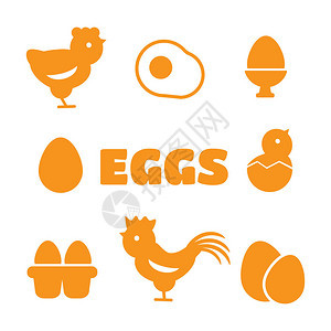 鸡蛋图标蛋类食品早餐蛋动物蛋背景图片