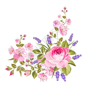花朵盛着紫色玫瑰沙库拉和熏衣草带玫瑰和熏衣花的挂彩图片