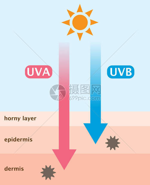 UVA射线深入皮肤UVB射线图片