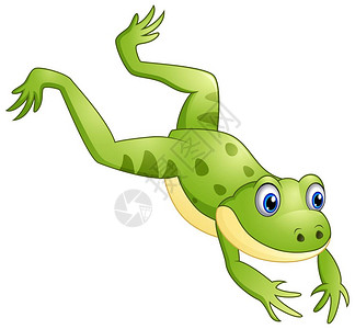 卡通可爱青蛙插图高清图片近青蛙插图高清图片青蛙f的插图高清图片