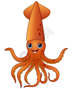 火爆鱿鱼插画