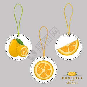 整个成熟水果金橘绿茎叶切半切片金橘背景的矢量插图标识由天然甜食组成的金橘图案吃新鲜的热带水图片