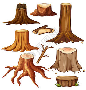 白色背景插图上的不同树桩背景图片