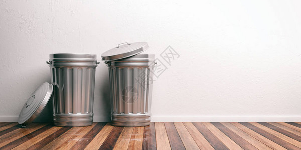木制地板上的两个垃圾桶图片