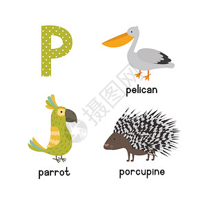 为英语词汇的孩子们寻找有趣的动物漫画鹦鹉豪猪皮人parrotporcupinepe图片