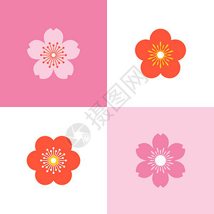 五瓣和六瓣的樱花和樱花套装平面设计图片