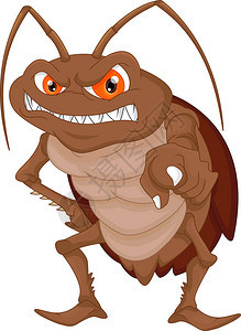 愤怒的蟑螂卡通矢量图图片
