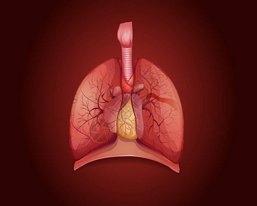 显示肺部疾病插图的表图片