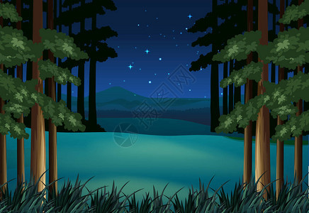 夜间森林场景与星插图背景图片
