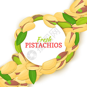 开心果对角线组成背景上的圆形白色框架矢量卡片插图用于健康食品包装设计的坚果框架带壳黄连果整体带壳图片