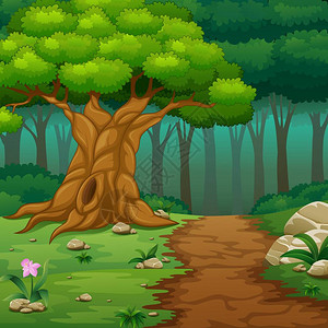 插画  |,地面水磨石地板黑色的插画  |空荡的白色内饰矢量图插画  |一