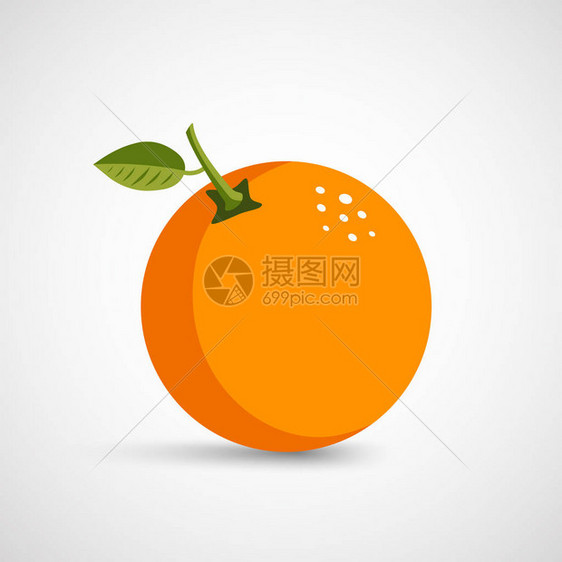 这是新鲜橙子矢量插图的矢量插图图片