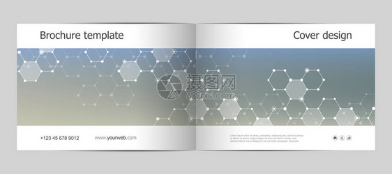 矩形小册子模板布局封面年度报告带有六边形分子结构的A4号A4型杂志图片