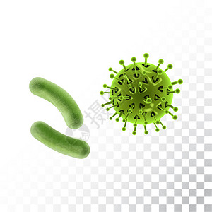 细胞或细菌集矢量说明白色背景上的孤立物体VectorI图片