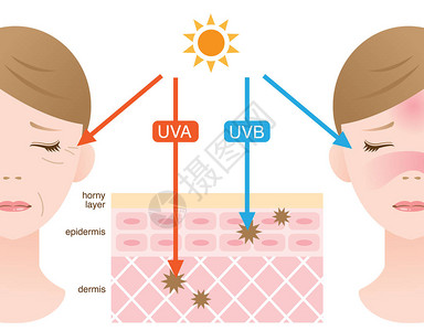 UVA和UVB射线图片