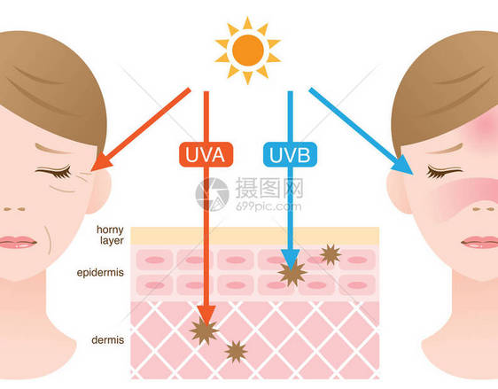 UVA和UVB射线图片
