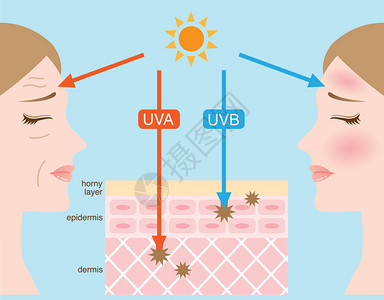 UVA和UVB射线图片