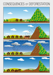 图表分4个步骤显示导致山体滑坡的森林砍伐的后图片