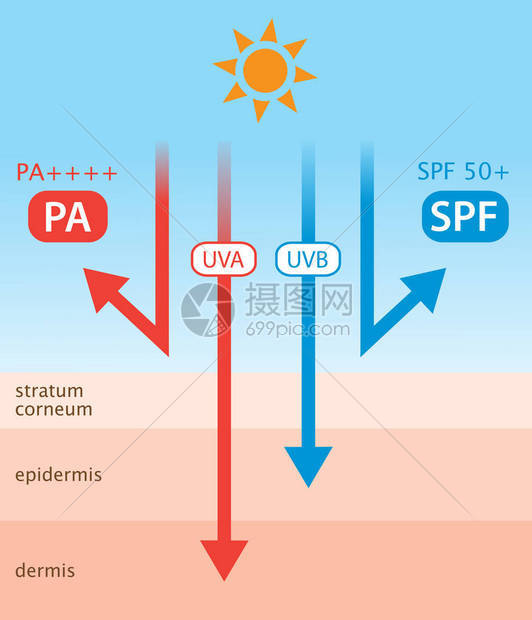 SPF表示UVB防护PA图片