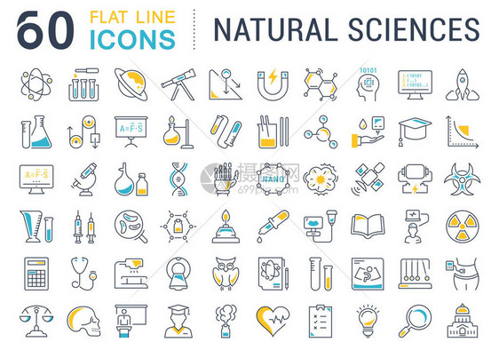 在自然历史的平面设计中设置矢量线图标符号和符号图片