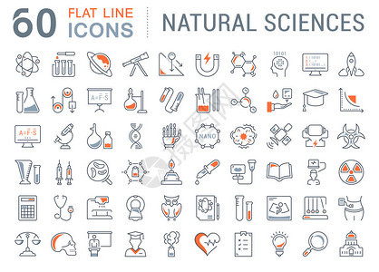 在自然历史的平面设计中设置矢量线图标符号和符号图片