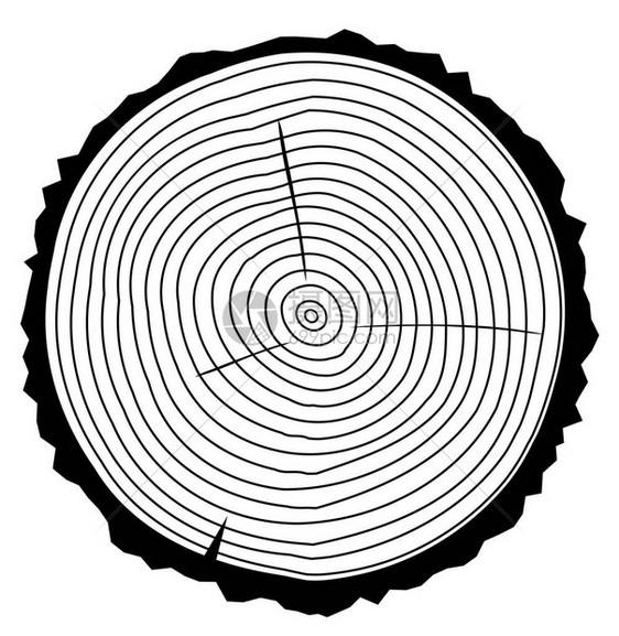 树环背景矢量插图并看到剪切的树干黑色图片