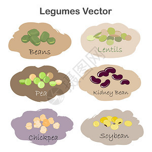 在白色背景上隔离的一组不同的卡通豆类肾脏大豆青豆豌豆鹰嘴豆图片
