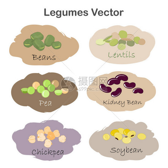 在白色背景上隔离的一组不同的卡通豆类肾脏大豆青豆豌豆鹰嘴豆图片