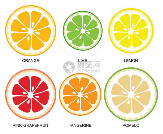 白色背景的柑橘类水果图片