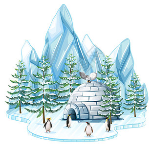 企鹅和猫头鹰的冰屋插图背景图片