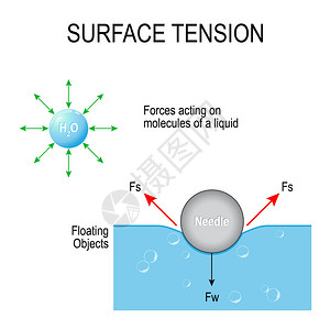 在液体和漂浮物体分子上作用的强度矢量图Vict图片