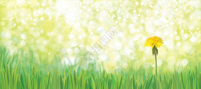绿色自然背景的矢量黄色花朵在绿图片