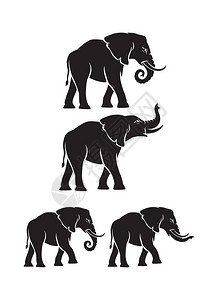 该图显示了动物大象矢量插图图片