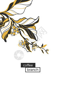 有叶子和咖啡豆的咖啡分支植物轮廓图复古孟菲斯风格图片