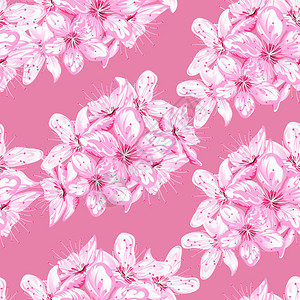粉红和白樱花的无缝模式Sakura图片
