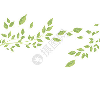 绿叶矢量插图背景树枝和树叶图片