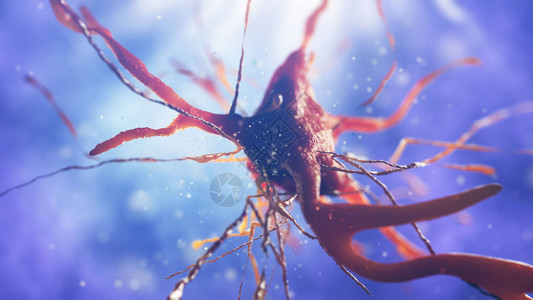 3D神经细胞插图近距离接近神经背景图片