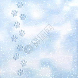 动物脚印到白雪皑雪地里的足迹雪地里的狗脚印雪面纹图片