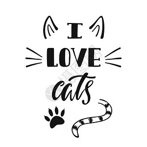 我喜欢猫关于猫的手写励志名言排版字体设计黑色背景图片