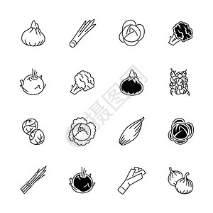 蔬菜图标蔬菜矢量图大纲样式的蔬菜和调味料素食品标志蔬菜和香料的图片