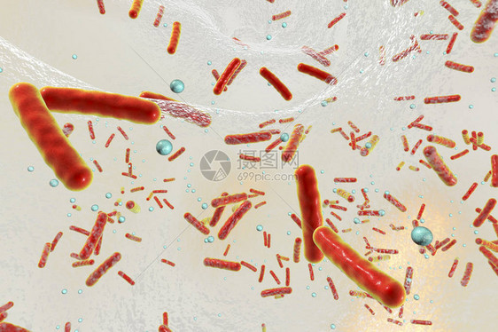 生物膜内的抗生素耐药细菌图片
