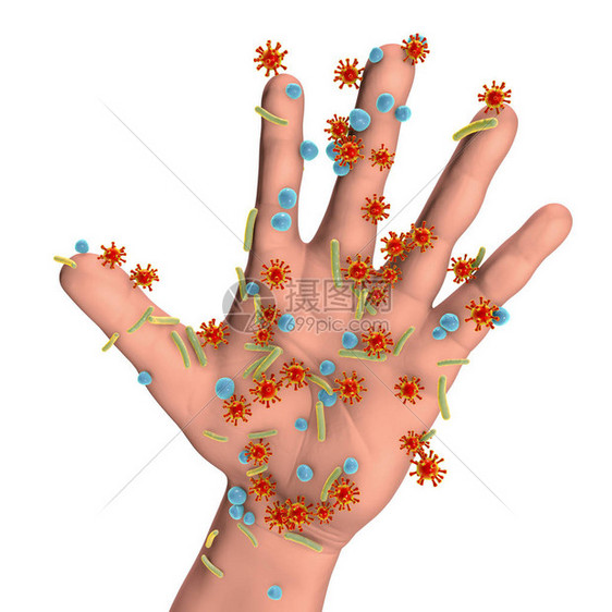 3D图解显示人体手表面的微生物图片