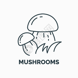 浅色背景下食用蘑菇的线图标和插图矢量插图图片